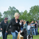 CAC kutyakiállítás (Fotó: Nagy Mária)