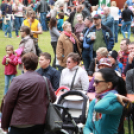  Városi Majális 2017 