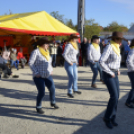 Erzsébet napi Vigalom