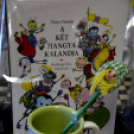 Ballagás a Pillangó Óvoda és Mini Bölcsődében