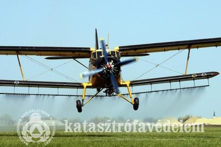 Megyénk három térségében folytatódik az irtás hétfőtől 