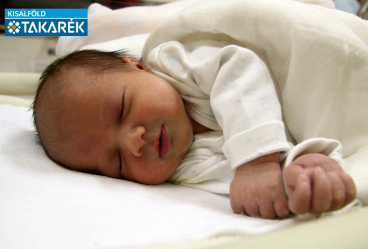 Tóth Luca Karolina, Mosonmagyaróvár