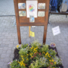 VII. Apró kezek, csodakertek Gyermek Kertépítő verseny