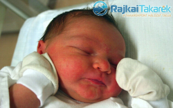 Tóth Trisztán, Arak