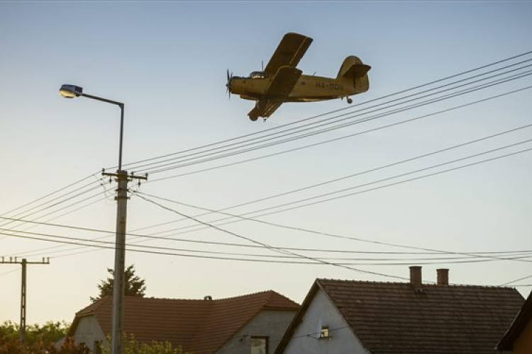 Még egy utolsót kapnak a szúnyogok a Balatonnál