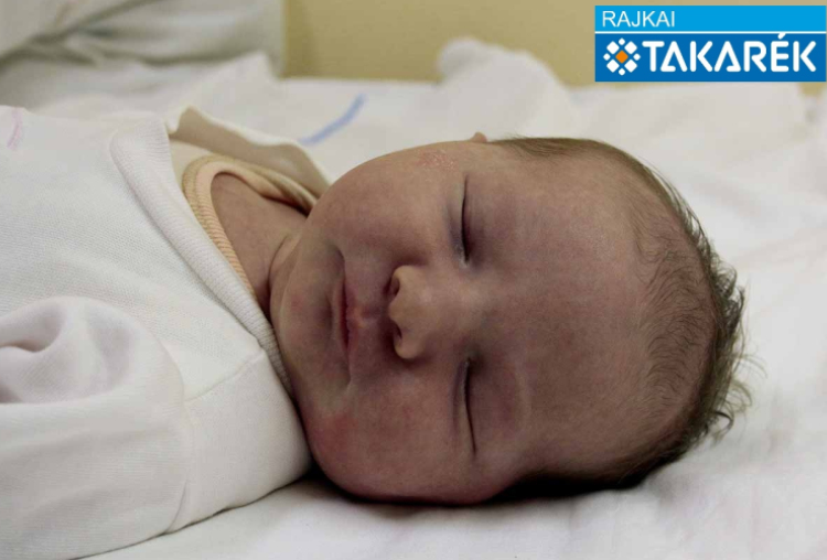 Divós Lina, Hanságliget