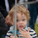 Városi Majális 2016 (Fotó: Bánhegyi István)