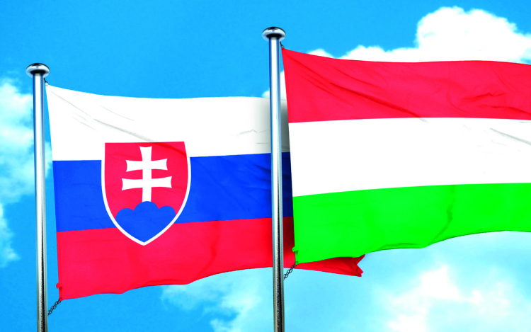 Újabb mérföldkőhöz érkezett a megyei önkormányzat vezető partnerségével megvalósuló határon átnyúló projekt 