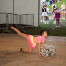 Szigetköz ízei, Vármegye borai Fesztivál - 1 nap