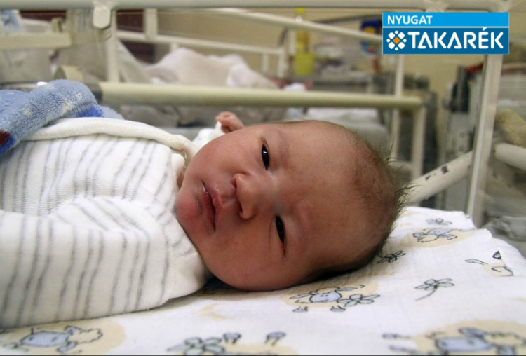 Jankovics Krisztofer, Mosonmagyaróvár