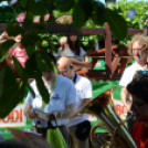 Entente Florale Day Mosonmagyaróvár - Virágzó Város Mosonmagyaróvár (Fotó: Bánhegyi István)