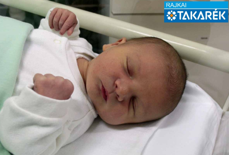 Gavajda Péter, Dunasziget