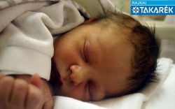 Szakál István, Halászi