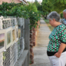 Kerítéstárlat (Fotó: Nagy Mária)