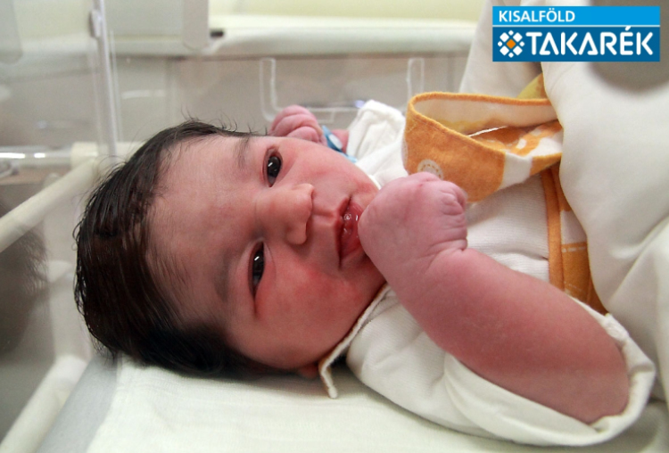 Varga Péter, Jánossomorja