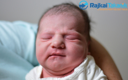 Farkas Dorina, 3340 gr. Farád