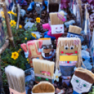 Apró kezek, Csodakertek - IX. Gyermek Kertépítő Verseny