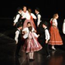 Nyárcsalogató (Fotó: Nagy Mária)