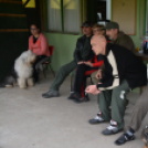 Agility Attilával (Fotó: Nagy Mária)