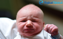 Schmierer Martin, 3280 gr. Mosonmagyaróvár