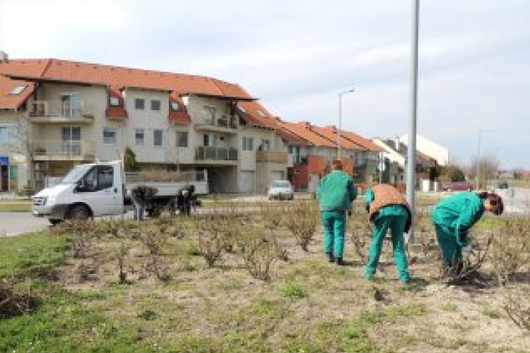 Virágedények növényesítése