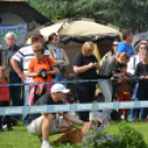 CAC kutyakiállítás (Fotó: Nagy Mária)