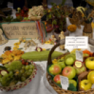 Termény- és virágkiállítás 