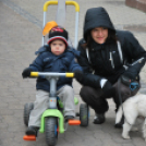 Karácsonyfát díszítettek az óvodások (Fotó: Nagy Mária)