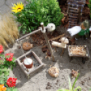 Apró kezek, csodakertek kertépítő verseny (Fotó: Horváth Attila)