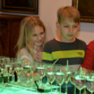 A Magyar Kultúra Napja 2018 a Cselley-házban