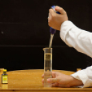 Kutatók éjszakája 2014 Nyugat-magyarországi Egyetem (Fotó: Horváth Attila)