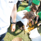 Paraszt olimpia (Fotó: Nagy Mária)