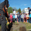 Faültetés a Föld Napja alkalmából