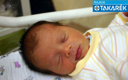 Török Nóra, Hegyeshalom