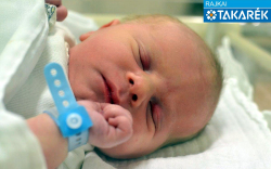 Nagy Ádám Máté, Hegyeshalom