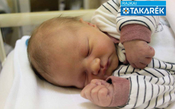 Horváth Dilen, Mosonmagyaróvár