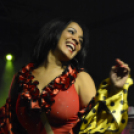 XII. Szigetköz ízei, Vármegye borai Fesztivál 2. nap