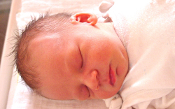 Kadnár Balázs-Dunakiliti