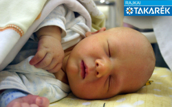 Kovács Olivér, Jánossomorja