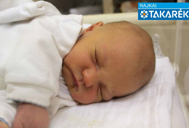 Fekete Vince, Mosonmagyaróvár