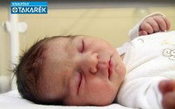 Földes Liza, Jánossomorja