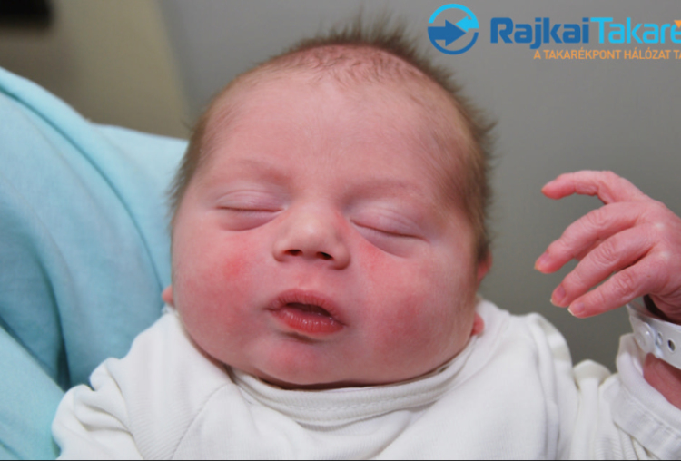 Schwendtner Zsombor, 3460 gr. Halászi