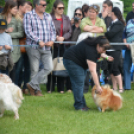 CAC kutyakiállítás (Fotó: Nagy Mária)