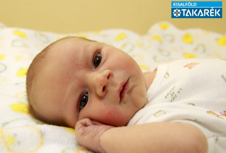 Bálint Áron, Mosonmagyaróvár