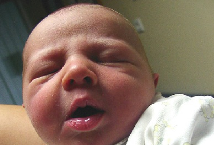 Grieszmayer Imre-3540-Móvár