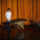 Nyárcsalogató (Fotó: Nagy Mária)