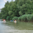 2 Kéklámpás nap (Fotó: Nagy Mária)