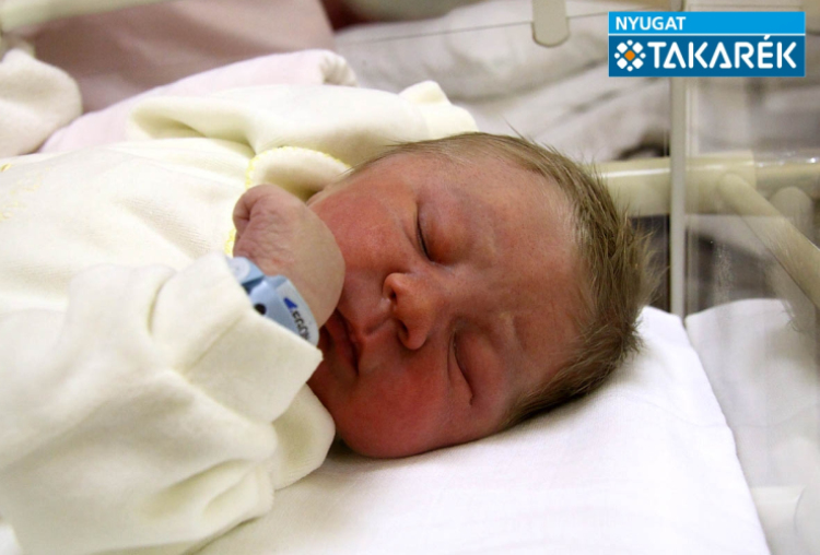 Gurdon Csaba, Mosonmagyaróvár