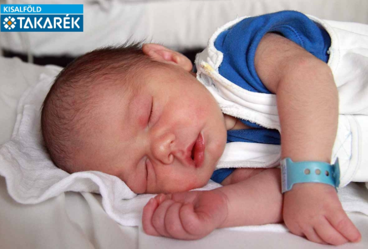 Szakál Zalán Vajk, Mosonmagyaróvár