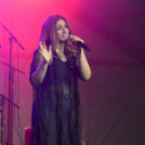 XI.Szigetköz ízei, Vármegye borai Fesztivál 1. nap